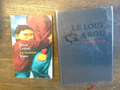 Lot livres de - de, bruce