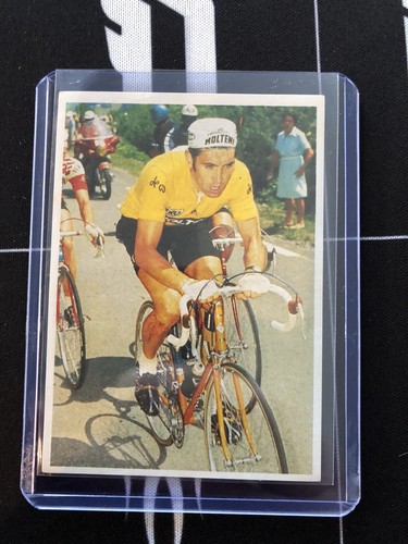 Eddy merckx poulain 1985 - -,