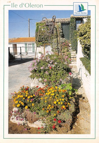 Ile oleron maison - 17-ile,