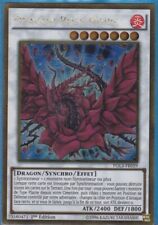 Yu-Gi-Oh! Dragon Rose Noire