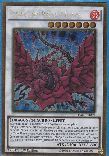 Dragon rose noire - dragon,