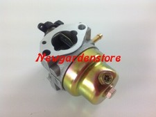 Carburateur Tondeuse À Gazon