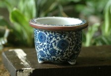 Seto yaki Ware Bonsai Pot 6.0