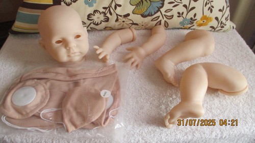 2008 bountiful baby reborn - 2008,