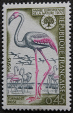 Timbre - FRANCE - Flamant rose - 1970 - Neuf ** - YT1634