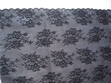 COUPON SUPERBE DENTELLE de