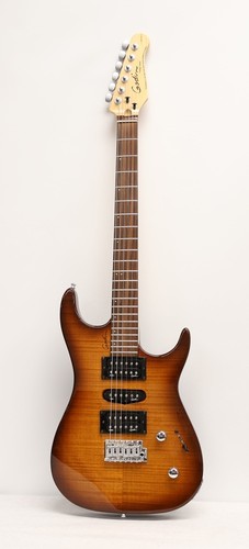 2005 godin freeway classic - 2005,