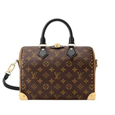 Louis Vuitton Speedy Trunk 25