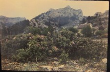 Diapo 6x9 Ektachrome Kodak Vintage LES ALPILLES St Rémy Provence 1953 slide