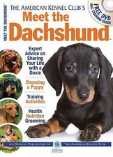 Meet the Dachshund by American