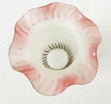 Grande Tulipe bicolore rose &