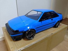 Pandora 1/10 RC Car Painted
