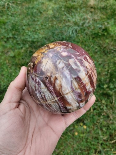 Bois fossile forme sphère - bois,