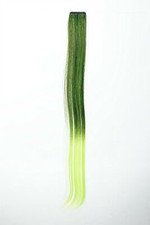 1 Clip-In Mèche Extension Extensions Cheveux Lisse 45cm Ombre Bicolore Verte