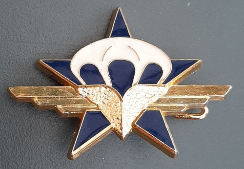 Insigne rcp vintage - insigne,