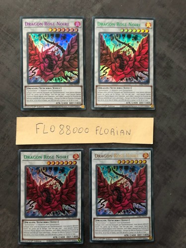 Yugioh dragon rose noire - noire, :