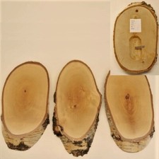 3X Panneaux En Bouleau