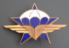 Insigne 1° RCP en AFN