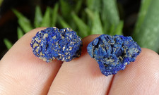 Lot 2 Azurite Chessylite intense Chessy les Mines 1.3cm France collection reiki