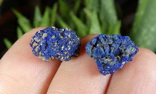 Lot azurite chessylite - azurite,