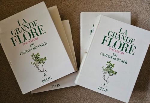 Grande flore couleurs de - la,