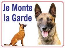 Attention au chien, Je monte la garde plaque ou autocollant Malinois