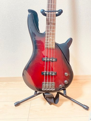 Guitare basse électrique