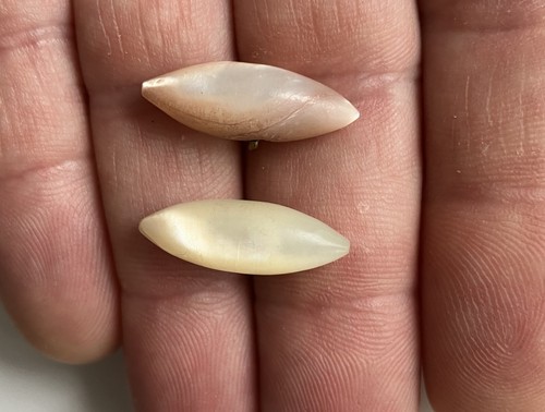Lot petits boutons - lot, de