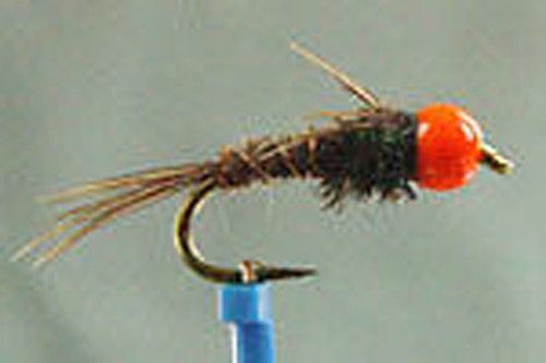 Mouche nymphe faisan - x,