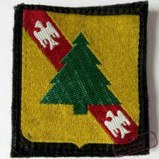 Patch insigne tissu 4e DB Division Blindée (sapin sur l'écusson de Lorraine)