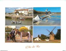 17 - Ile de Ré - Multivues - Marais Salants - Anes en culottes - Moulin - Bateau