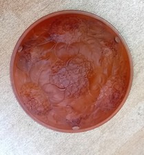 Lustre Suspension Vasque