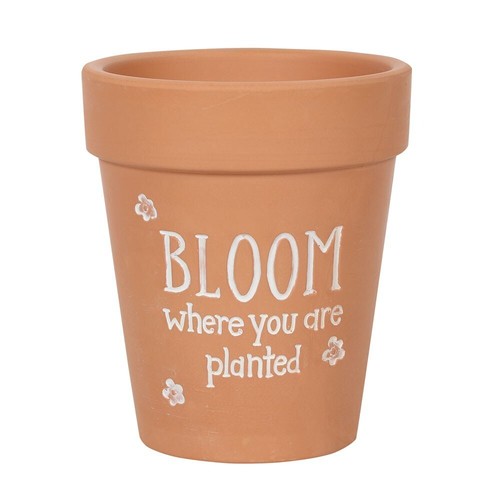 Something different pot de - different,