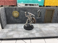 Dungeons & Dragons - Figurine