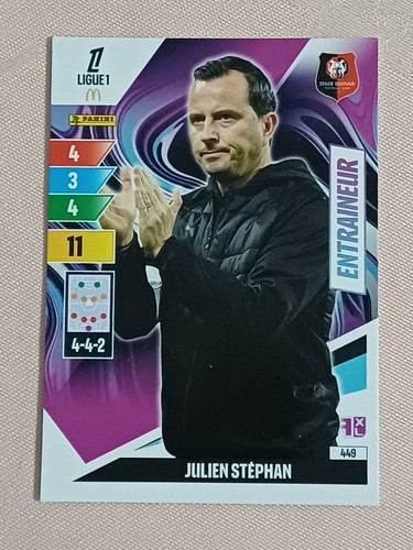 Panini adrenalyn ligue1 - xl,