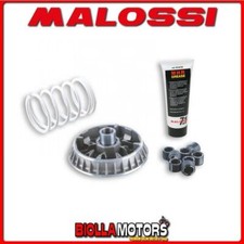 5114260 VARIATEUR MALOSSI PGO