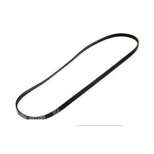 Courroie Poly V Élastique