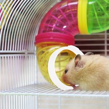  20 Pcs Jouets Pour Petits Animaux Accessoires Cage À Gerbille De Tunnel Hamster