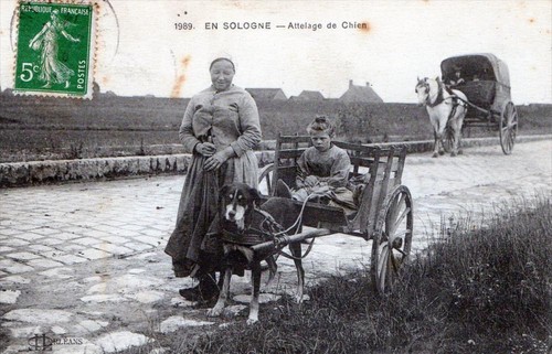 Cpa sologne attelage de - en,