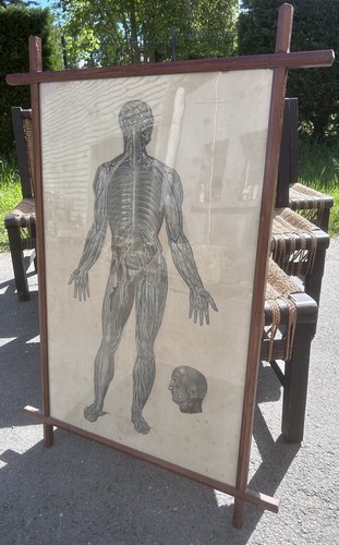 90cm bourgery jacob - et,