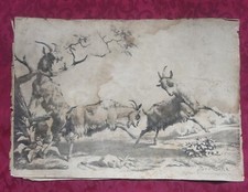 Gravure XIX Siècle: Chèvres