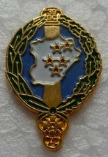 PIN'S MILITAIRE DU 39 GROUPEMENT DE  CAMP-72 REGIMENT D'ARTILLERIE