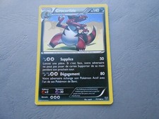 Carte Pokémon XY 71/146