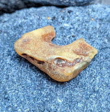 Pierre ambre brute naturelle