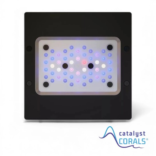 Ecotech radion xr15 blue gen - radion,