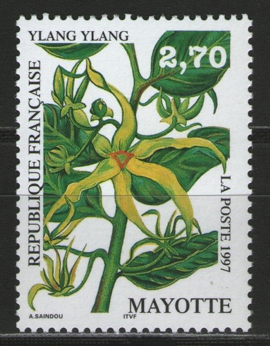 Mayotte flore - , n°42