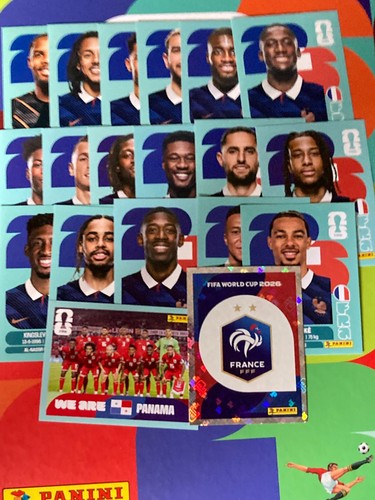 Choix france panini - france,