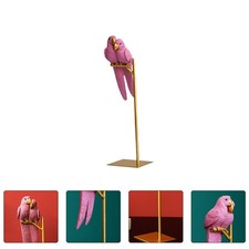 Couple Parrot Desktop Decor