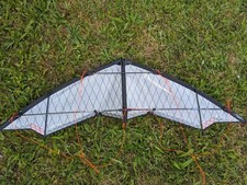 Speed & power kite Nasenbaer Drachen