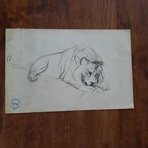 Dessin ancien animalier fond - dessin,